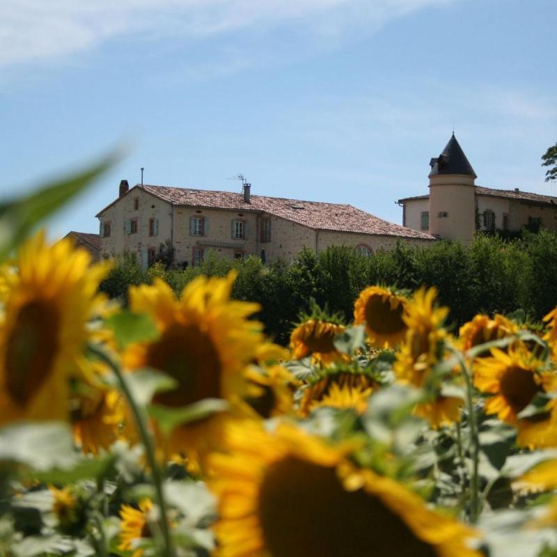 Domaine D'En Naudet Bed & Breakfast Teyssode Exterior photo
